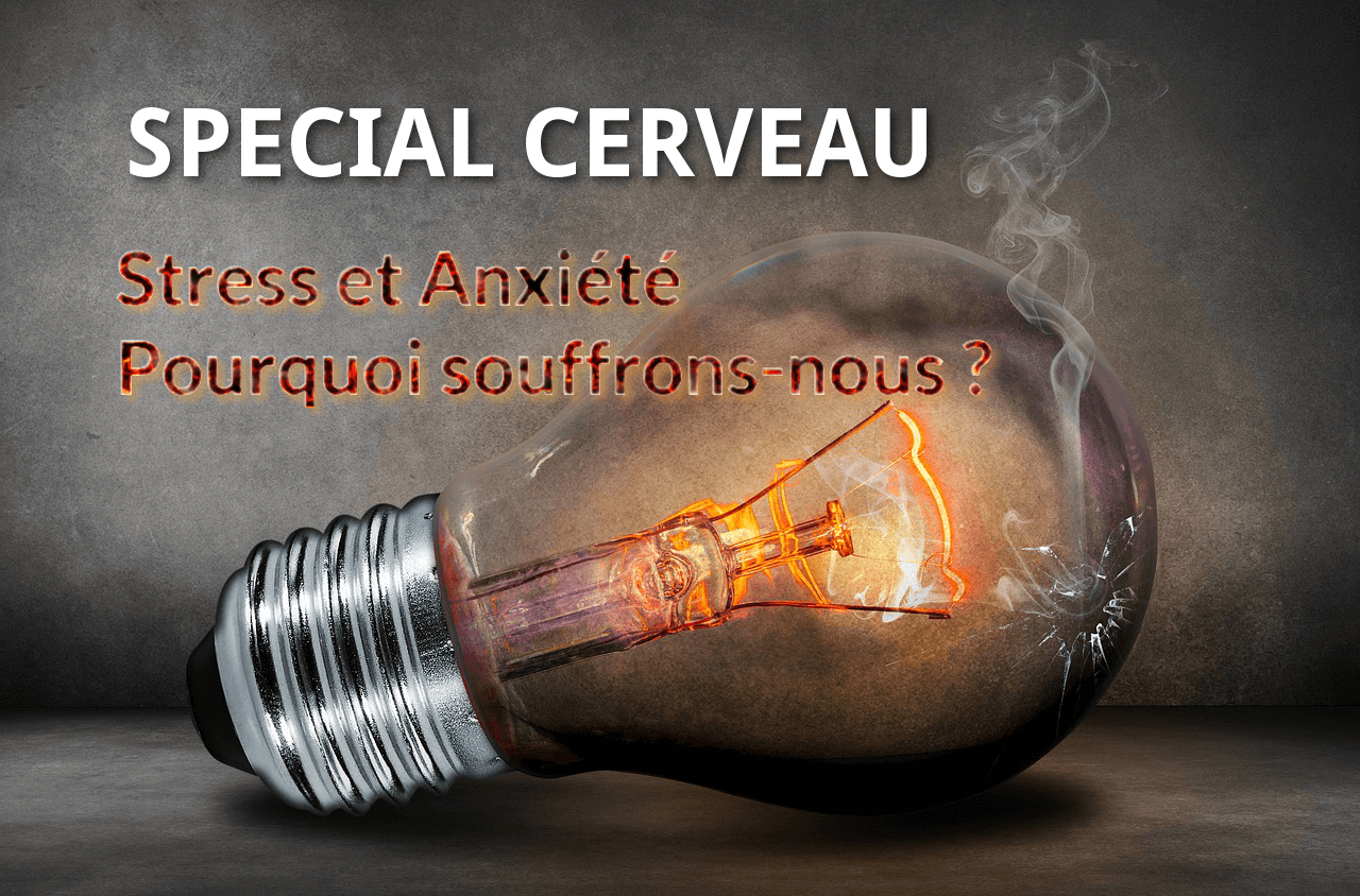 special cerveau stress anxiete pourquoi souffrons nous