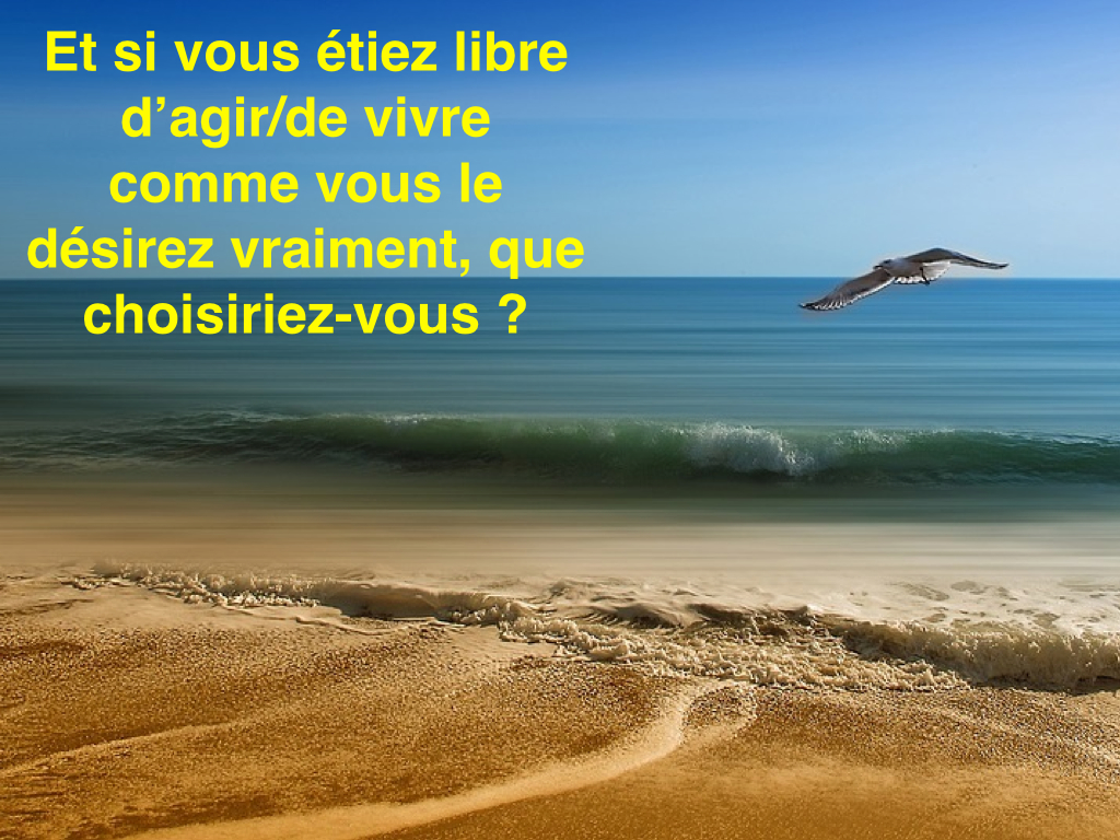 ACT-IT-YOURSELF : « Et si vous étiez libre de choisir…? »